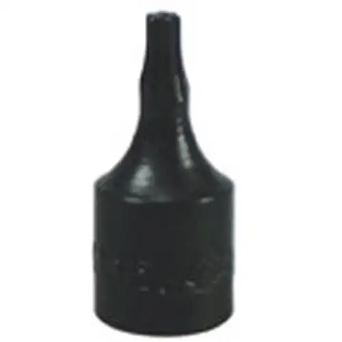 Torx Bit, T25
