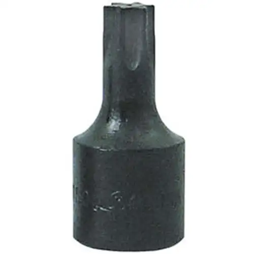 T-30 Torx Bit