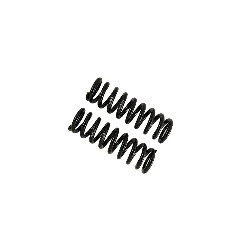 Bilstein 53-291387 B12 (Special) - Coil Spring Set