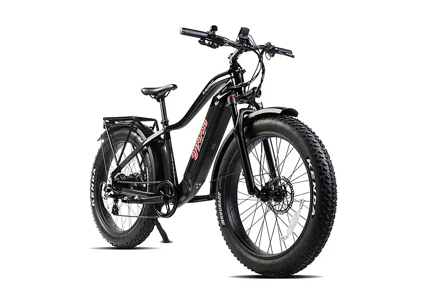 Young Electric 12803002BLK E-Scout Off-Road/Fat Tire Electric Bicycle 750W 48V15Ah Black