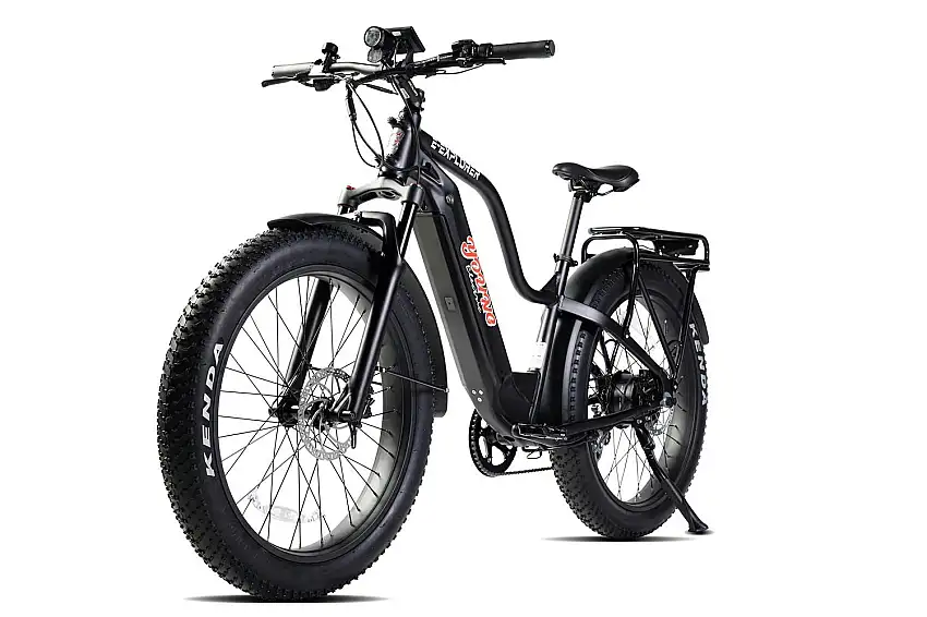 Young Electric 12803004MFBLK E-Explorer Off-Road/Fat Tire Electric Bicycle 1000W 48V15Ah Size M, Black